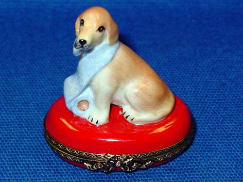 NAUGHTY YELLOW LABRADOR